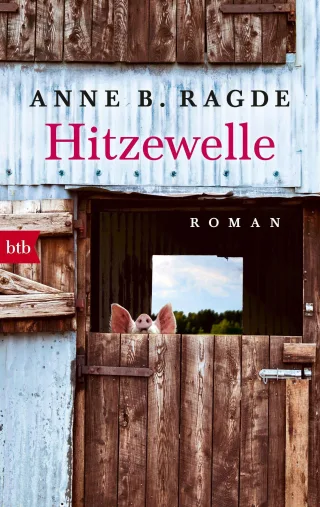 Hitzewelle: Roman (Die Lügenhaus-Serie Band 3)