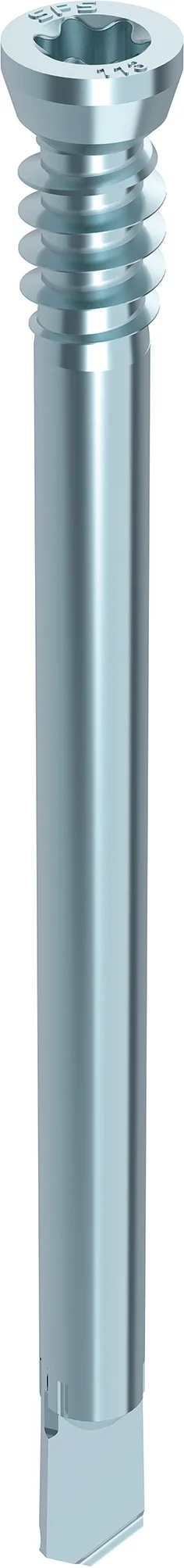 HECO WS Stabdübel, Zyllinkdersenkkopf, T-Drive, 100-Stück - 53342