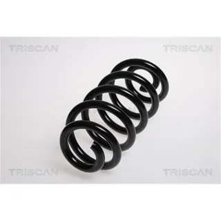 Triscan Feder hinten Audi A6 C6 875029189