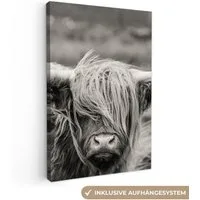 OneMillionCanvasses® Leinwandbild Schottischer Highlander - Kuh - Tiere - Schwarz-Weiß - Ländlich, Fotodruck (1 St), Leinwand Canvas Wandbild, Wanddekoration 20x30 cm