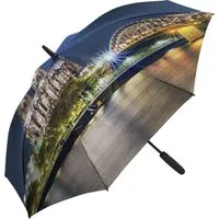 FARE Stockregenschirm Allover Xpress, Kölner Dom, Köln, LED-Innenbeleuchtung, Auf-Automatik, Windproof-PLUS