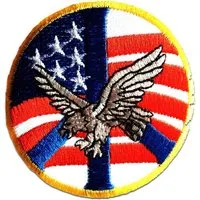 Catch the Patch Aufnäher Bügelbild, Aufbügler, Applikationen, Patches, Flicken, zum aufbügeln, Polyester, USA Amerika Adler Flagge Fahne Army - Größe: 7,7 x 7,7 cm