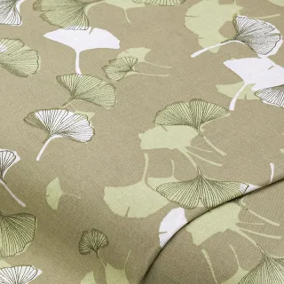 Beschichteter Baumwollstoff "Ginkgo", grün-color