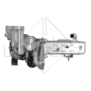NRF AGR-Modul Citroen Peugeot 48204 2,0