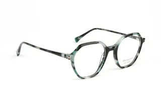 Ana Hickmann Brillenfassung HI6335 G21 49