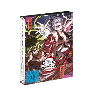 Demon Slayer: Kimetsu no Yaiba - Entertainment District Arc - Vol.2 - [DVD]
