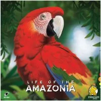 Strohmann Games Spiel, Life of the Amazonia - deutsch