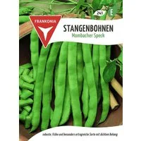 FRANKONIA Gemüsesamen Stangenbohne, Mombacher Speck Bohnen-Samen Saatgut Samen, Phaseolus vulgaris