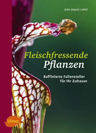 Fleischfressende Pflanzen: Raffinierte Fallensteller für Ihr Zuhause [Broschiert] [2012] Labat Jean-Jacques