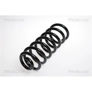 Triscan Feder hinten Audi A8 4,2