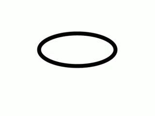 Schell O-Ring zur Spülerhaube für SchellTRONIC SchellMATIC 660830099
