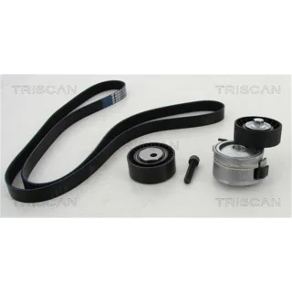 Triscan Keilrippenriemensatz Citroen Fiat Lancia Peugeot 864210016 2,0