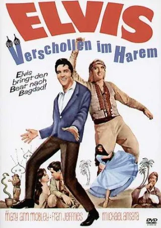 Verschollen im Harem [DVD] [2004]