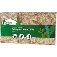 sphagnum-shop.com Terrarien-Substrat Sphagnum Moos Moosziegel aus Chile für Terrarium und Orchideen, Chilenische Premium-Qualität, Ideal für Pflanzenpflege & Terraristik
