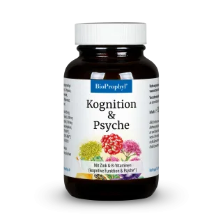 Kognition & Psyche