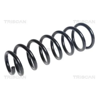 Triscan Feder vorne Mercedes C-Klasse W205 875023203