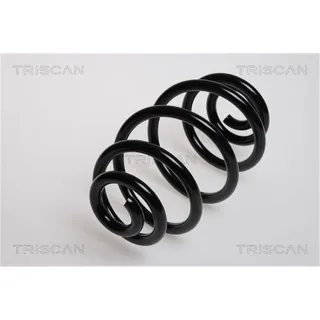 Triscan Feder hinten Skoda Superb VW Passat 875029064