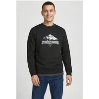 Jack & Jones Kapuzensweatshirt JCOFLARE FRONT PRINT SWEAT CREW NECK