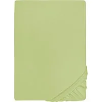 Biberna Spannbettlaken THEA Baumwoll-Jersey mit Elasthan, 160 g/m², Jersey-Elasthan, Gummizug: rundum, (1 Stück), Bettlaken für Matratzen bis 25 cm Höhe, pflegeleicht, bügelfrei