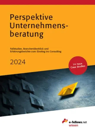 Perspektive Unternehmensberatung 2024: Case Studies Branchenüberblick und Erfahrungsberichte zum Einstieg ins Consulting (e-fellows.net-Wissen)