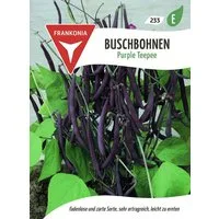 FRANKONIA Gemüsesamen Buschbohne, Purple Teepee - Bohnen-Samen Saatgut Samen, Phaseolus vulgaris