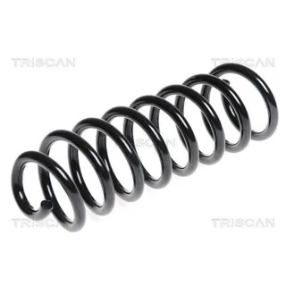 Triscan Feder hinten Dacia Logan Sandero Renault Sandero/Stepway