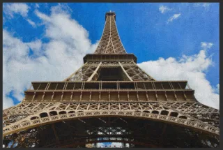 Fussmatte Paris 6279 | Größe: 60 cm x 45 cm