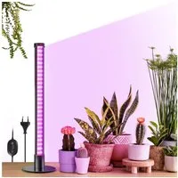Jibenhome Pflanzenlampe LED Stehende Pflanzenlicht H40-122cm Wachstumslampe, mit 6/9/12H Timer,3 Farben,Volles Spektrum