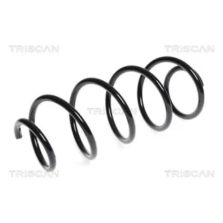 Triscan Feder vorne Fiat Bravo 1,4 875015145