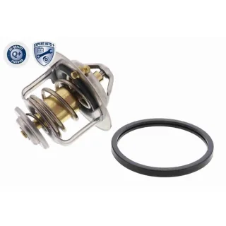 Ackoja Thermostat + Dichtung Ford Nissan