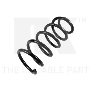 NK Feder hinten VW Passat B5 5447180