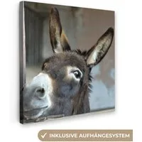 OneMillionCanvasses® Leinwandbild Esel, Fotodruck (1 St), Wandbild, Deko Schlafzimmer Wohnzimmer Flur 20x20 cm