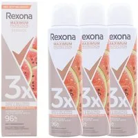 Rexona Bodyspray 3 x Rexona Maximum Protection je 150ml Wassermelone & Kaktuswasser Duf