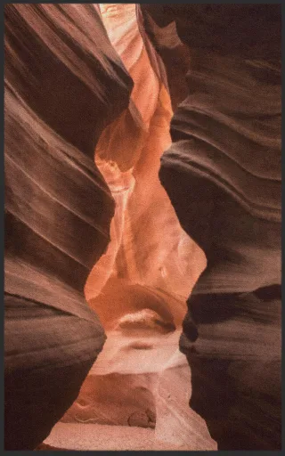 Fussmatte 7788 | Größe: 60 cm x 90 cm