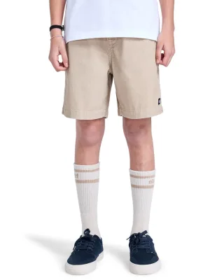 Element Shorts "Chillin Cord 15.7""