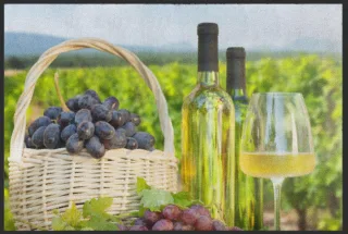 Fussmatte Wein 5086 | Größe: 60 cm x 45 cm