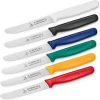 Landshop24 Brötchenmesser Brotmesser Tomatenmesser Tafelmesser 6er Set farbig, Edelstahl (Spezialstahl 1.4116) konisch geschliffen