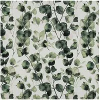 maDDma Stoff 0,5m bedruckter Canvas-Stoff Baumwollstoff Meterware, Motivwahl, Eucalyptus weiß
