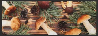 Küchenteppich Pilz 4365 | Größe: 75 cm x 120 cm