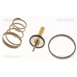 Triscan Thermostat Suzuki Swift 4