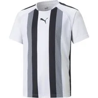PUMA Fußballtrikot PUMA teamLIGA Striped Trikot Kids Teamsport