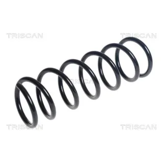 Triscan Feder hinten Fiat Panda 312 875015222