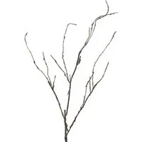 Kunstzweig Deko Zweig Korkenzieherweide LIFEN, braun, 95 cm Korkenzieherweide, artplants, Höhe 95.0 cm