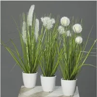 Kunstpflanze Kunstpflanze Gras im weißen Topf 3 Stück H38cm Grün/Creme Kunstgras, mucPlants
