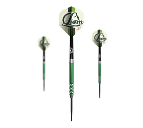 Bulls NL Liam Maendl Lawrance Steeldarts - 23g