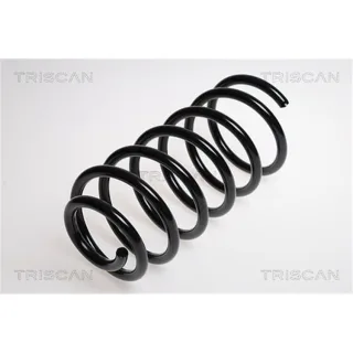 Triscan Feder vorne Seat Toledo VW New