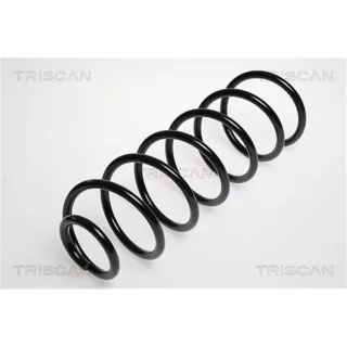 Triscan Feder hinten Opel Vectra 875024101