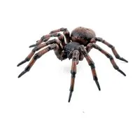 papo Spielfigur Spielfigur Spinne