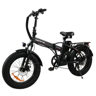 [EU DIRECT] GERPSI GPS-DZ2002 Electric Bike 48V 16AH Battery 500W Motor Recommended Top Speed 25KM/H 20*4.0inch Tires 40