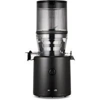 Hurom Entsafter Hurom Slow Juicer H320N